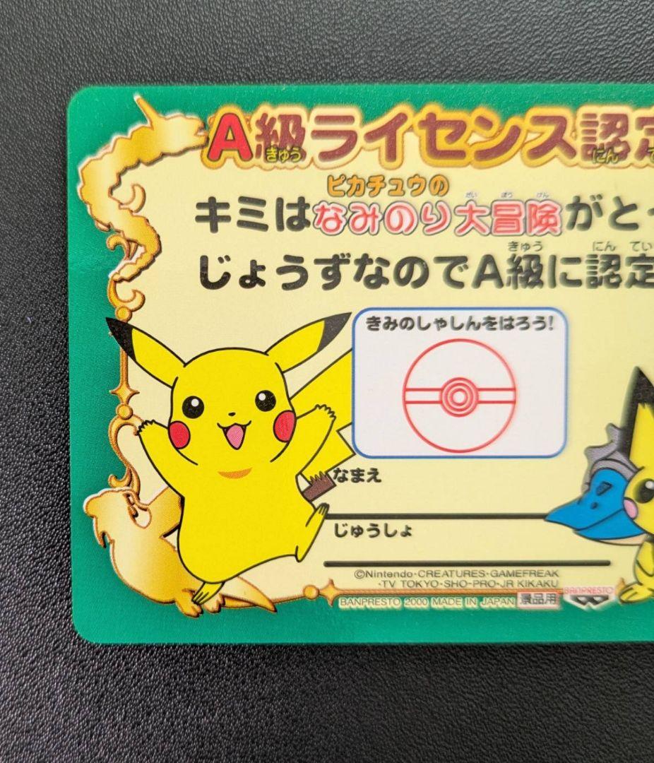 なみのり大冒険ライセンス