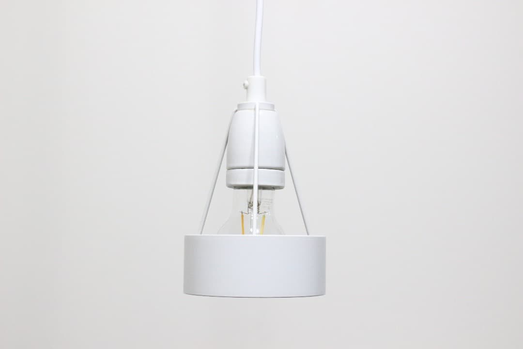 ルイスポールセン Pakhus パークフース ペンダントライト ランプ 北欧 2