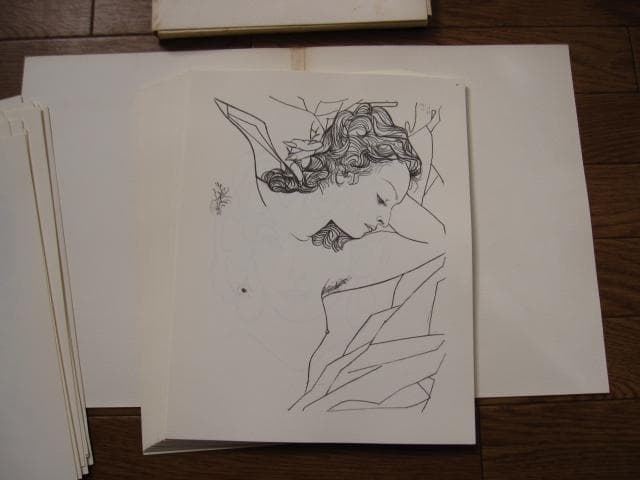 Picasso inconnu Laporte Geneviève　ピカソ