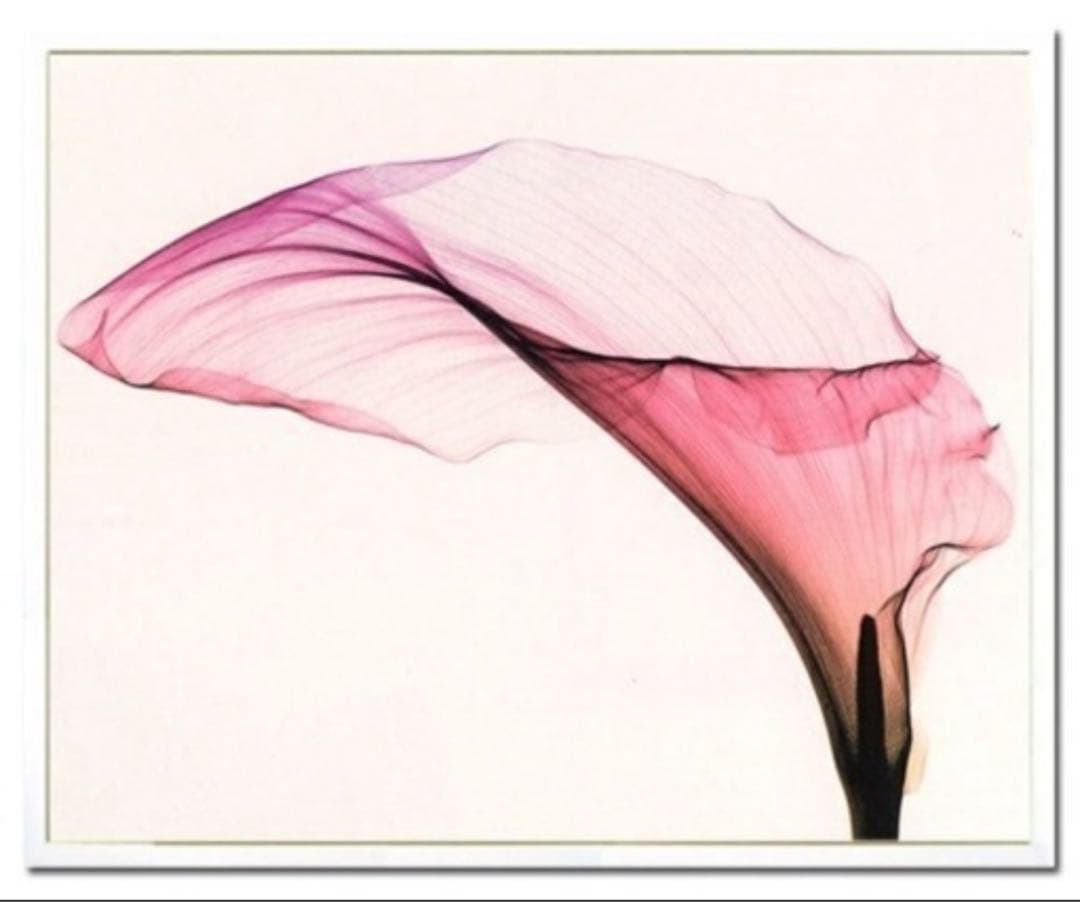 花の抽象画 ピンクとホワイト