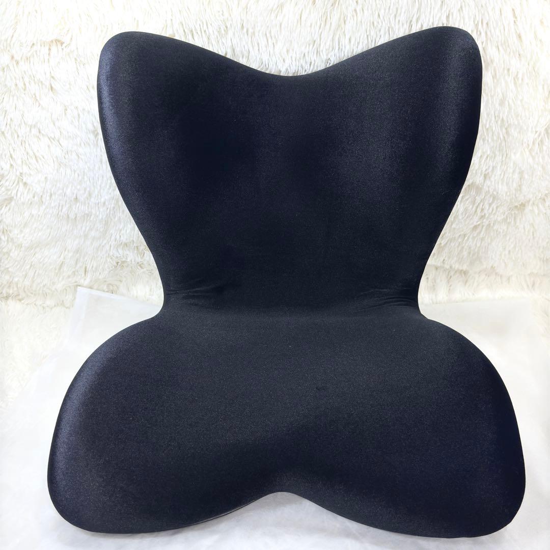 【高級クッション】Style PREMIUM DX