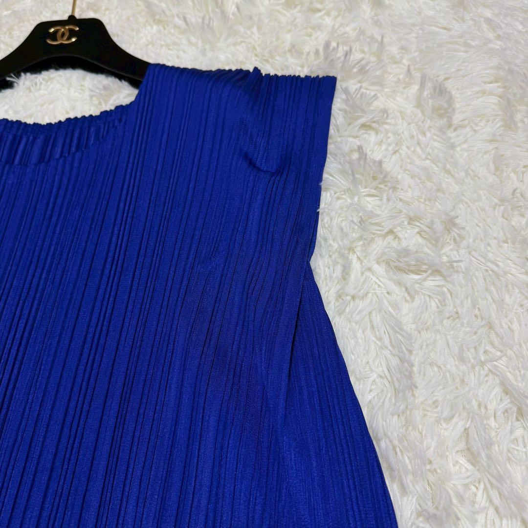 極美品 プリーツプリーズ フレンチスリーブ チュニック Aライン フレア ブルー