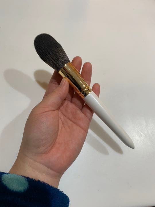 メイクブラシセット