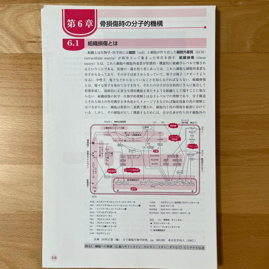 【※裁断済】柔道整復学総論