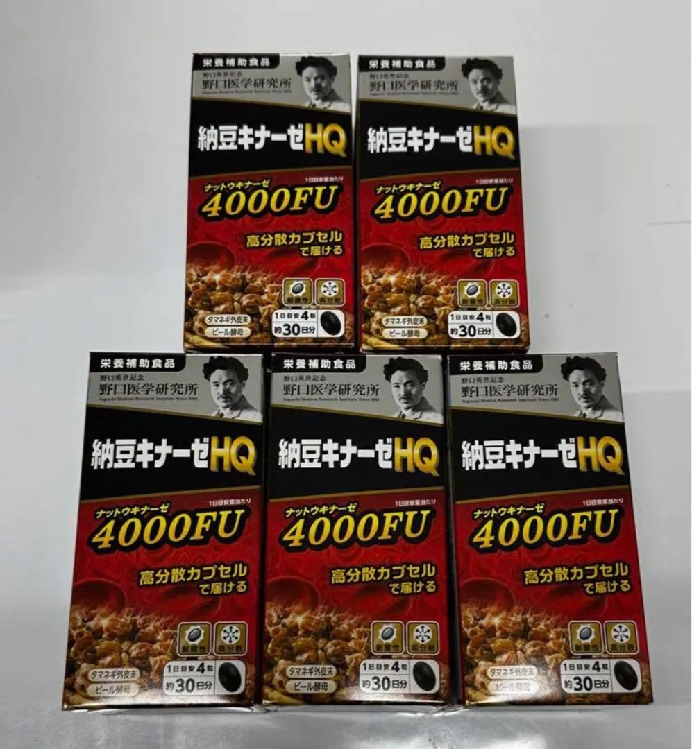 野口医学研究所 10個 納豆キナーゼ HQ 4000FU 新発売 国内正規品