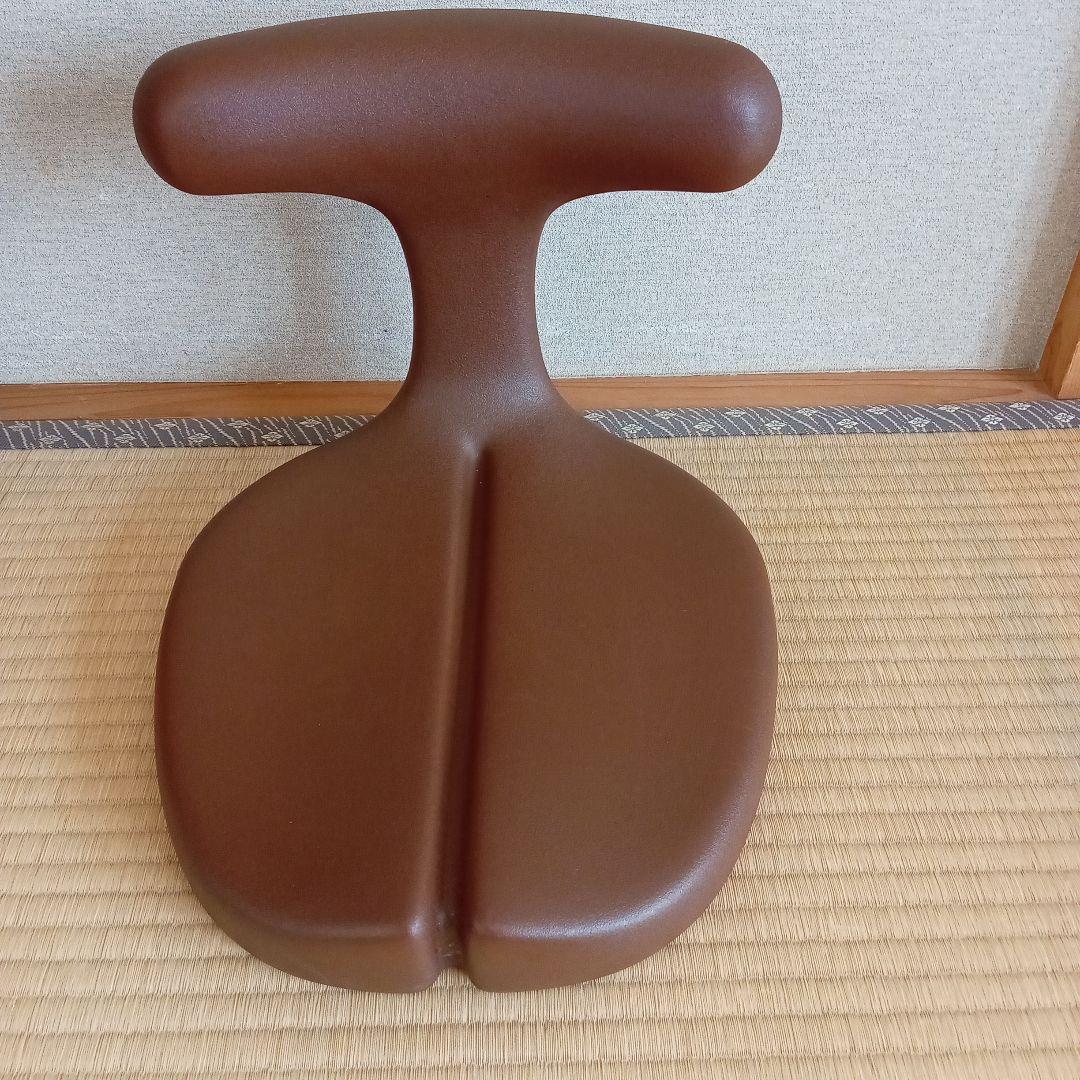 ひまわり＠断捨離中！ ayurchair 骨盤・姿勢矯正クッション