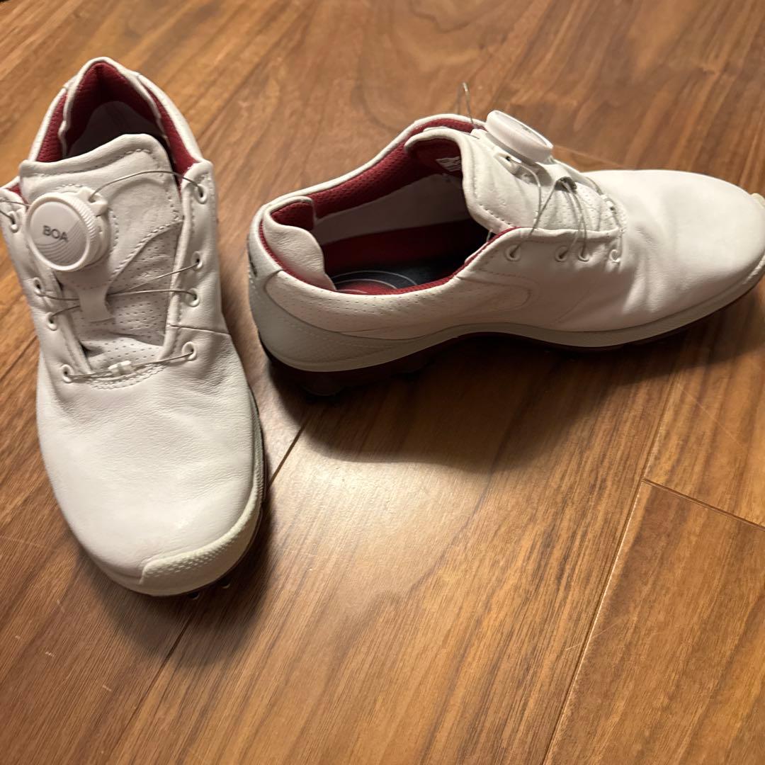 e c coのゴルフシューズレディース用36。本革。防水加工。BOA。