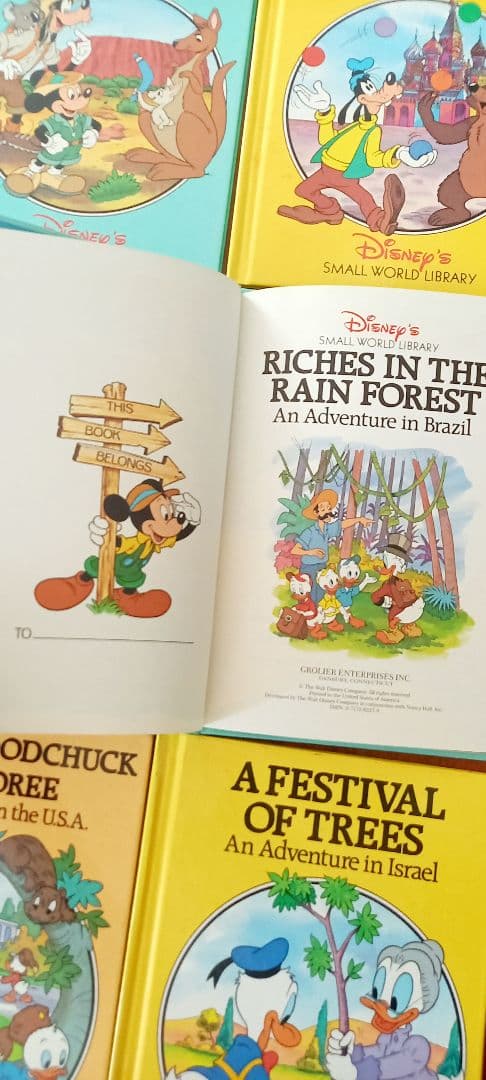 Disney's Small World Library 24冊　ディズニー