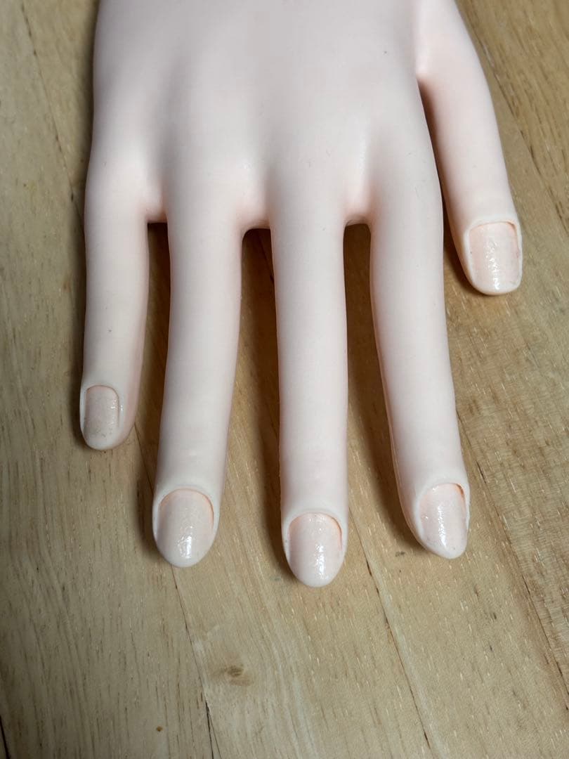 JNEC認定モデルハンド　両手