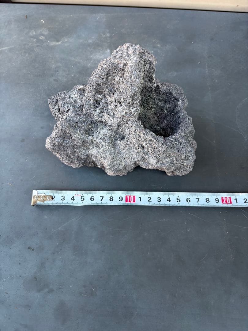 ADA雲山石5個セット