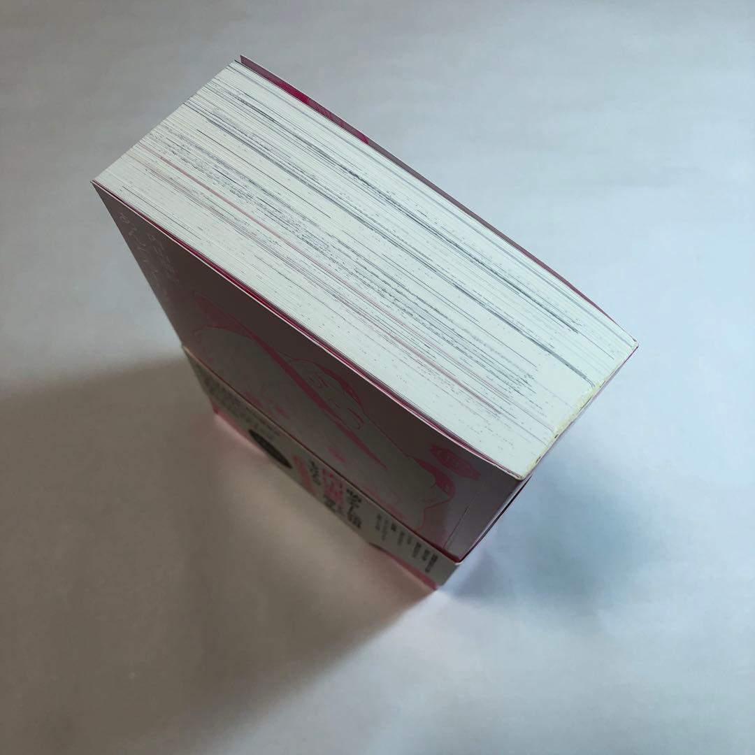 内山亜紀　あんどろトリオ 完全復刻版【送料込】美品