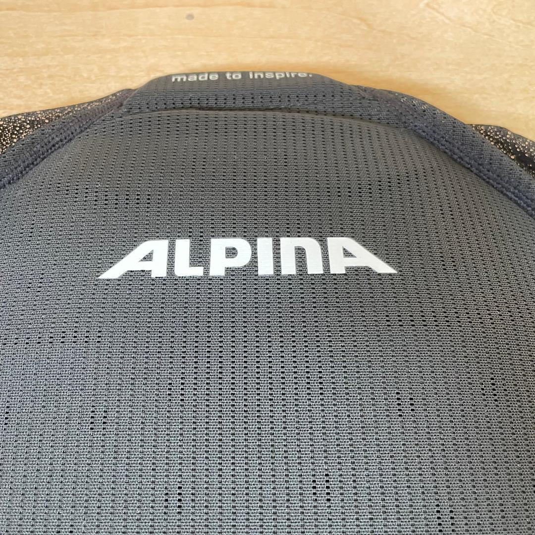 【未使用品】ALPINA PROSHIELD ジュニア用 164(アルピナ)