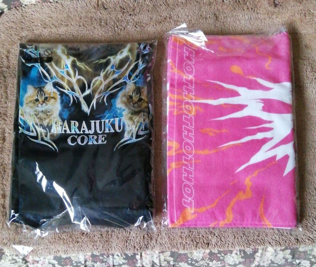 【花冷え】HANABIE 2026国内ツアー ティーL&タオル 新品未開封品