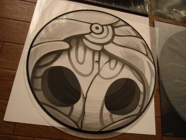 その他 Hollow Knight Video Game Vinyl Record