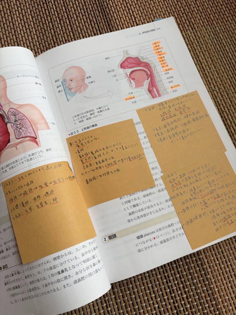 系統看護学講座　２０２５卒業生使用