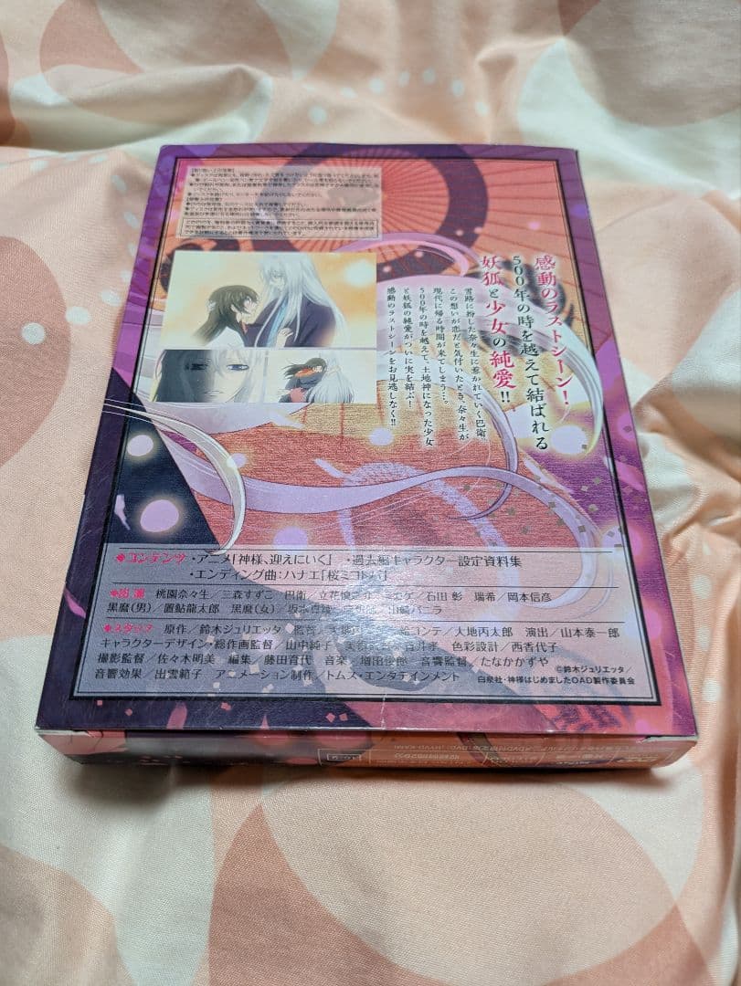 神様はじめました 25 DVD限定版