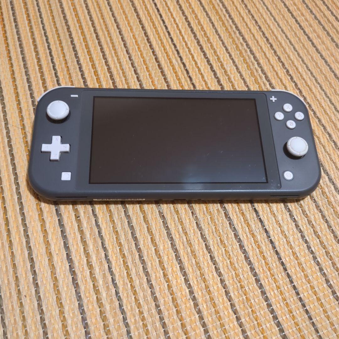 Nintendo Switch Lite グレー ピクミン4ダウンロード版付き