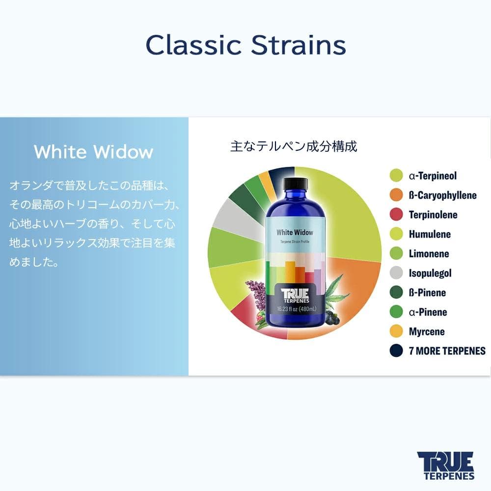 TRUE テルペン 510 CBD CBN CBG 10ml ホワイトウィドー
