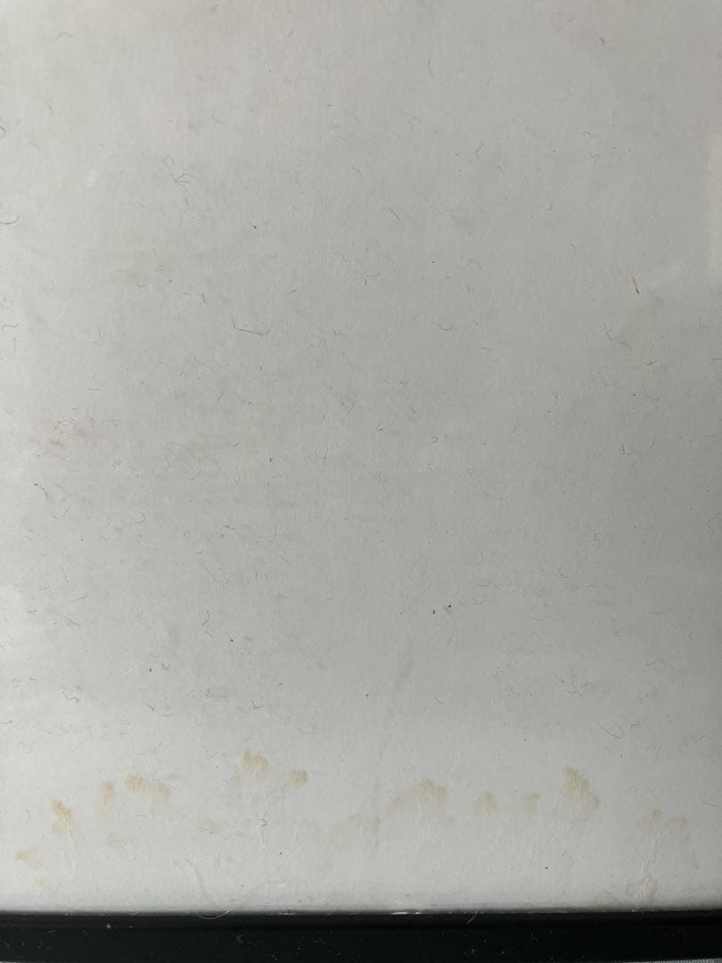 ジャンルー・シーフ　オリジナルプリント　 1959年のフランソワ・トリュフォー