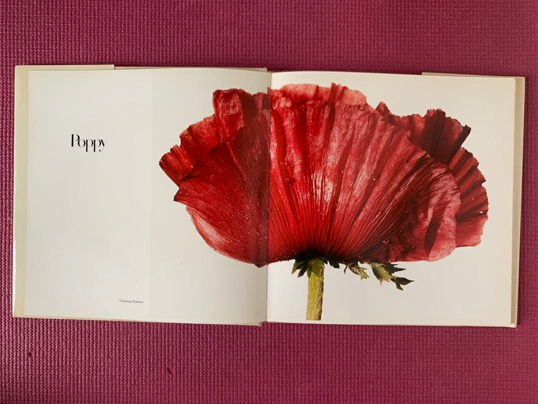 洋書 FLOWERS by Irving Penn
