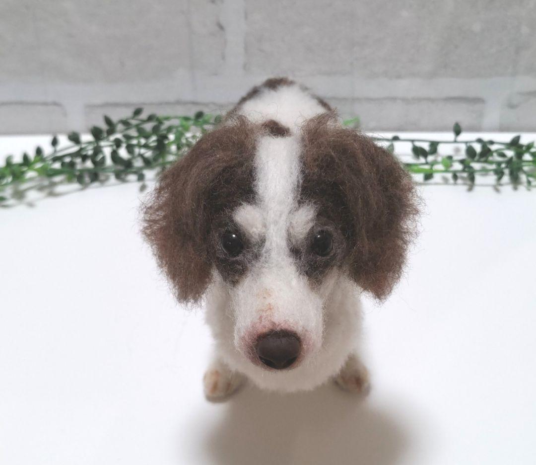 SASHA♡うちの子オーダー♡羊毛フェルト♪ハンドメイド☆