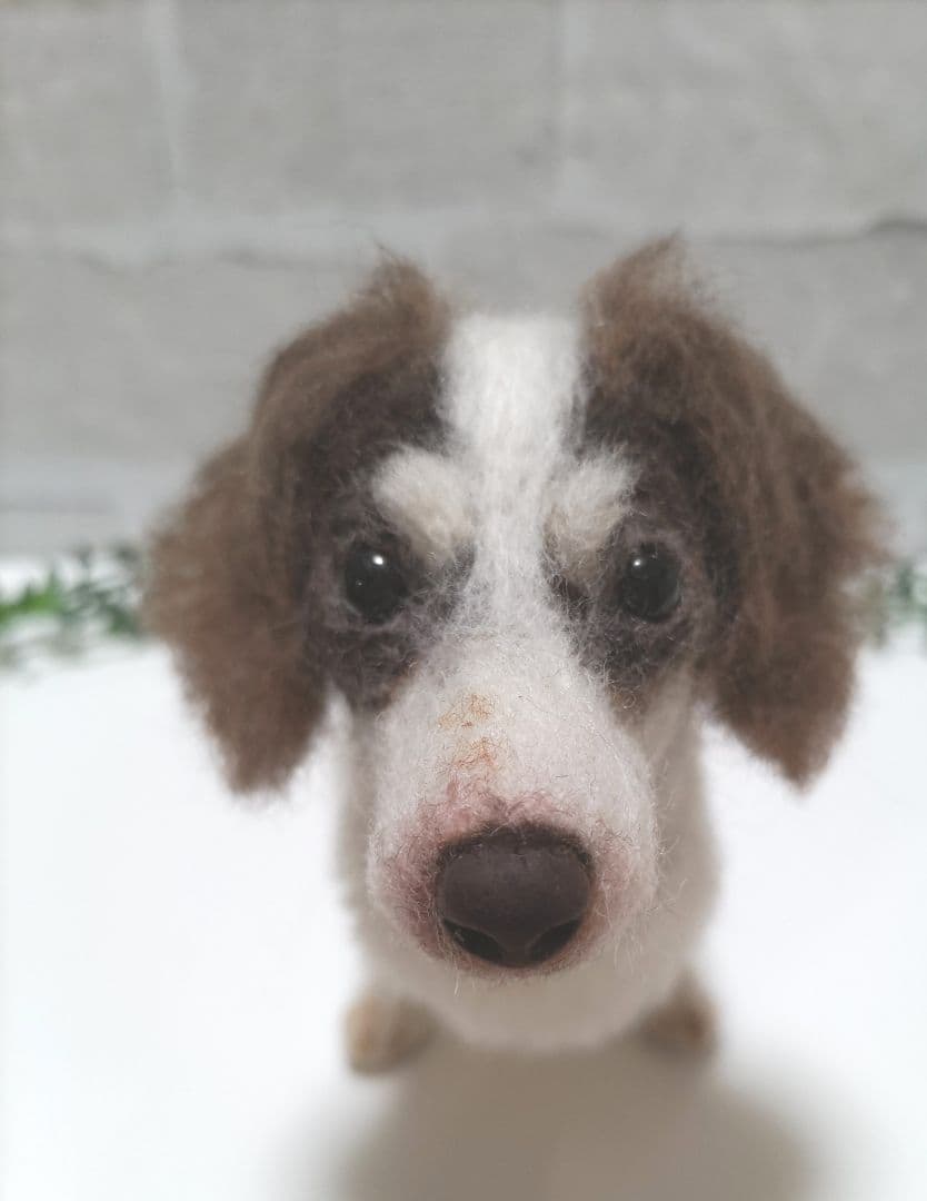 SASHA♡うちの子オーダー♡羊毛フェルト♪ハンドメイド☆