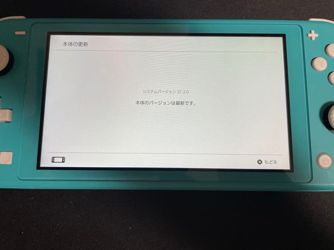 Nintendo　Switch Lite スイッチ　ライト　ターコイズ