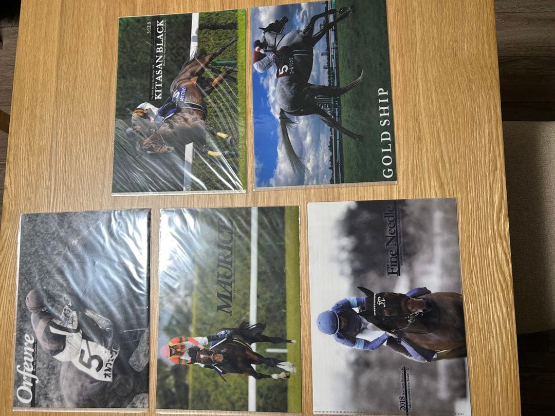 まとめ45枚　競馬クリアファイル