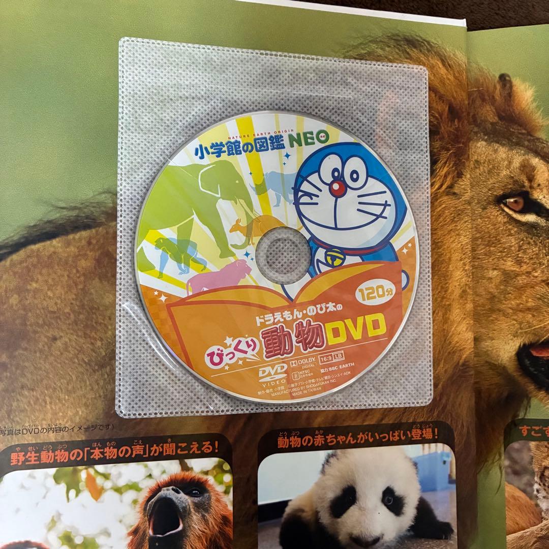 小学館図鑑neo 13冊セット