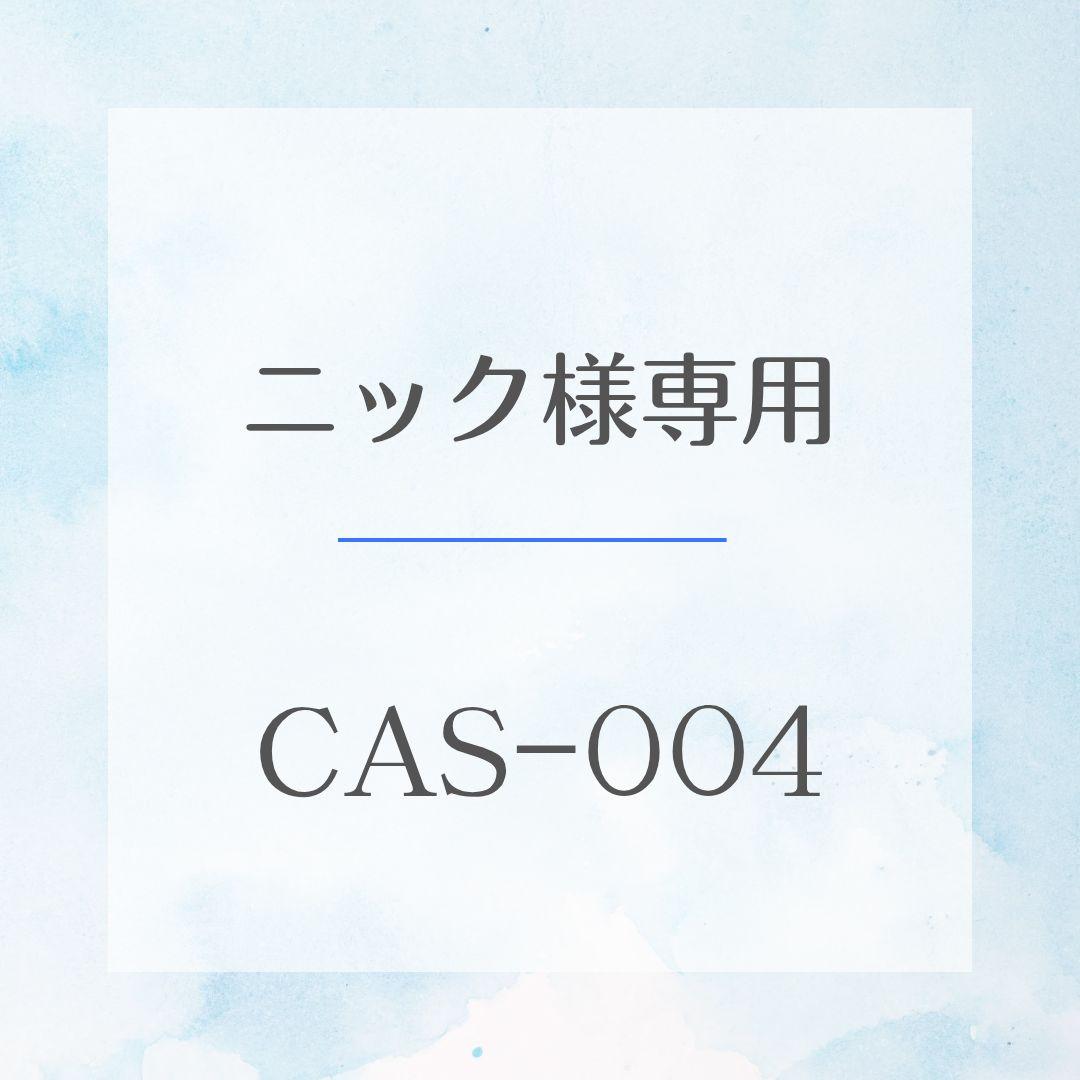 ニック　CAS-004　試験問題集