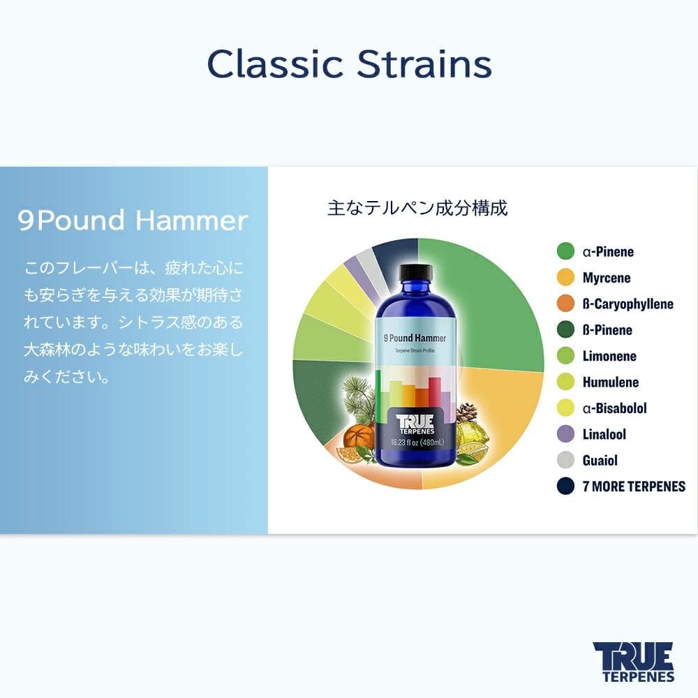 TRUE テルペン 510 CBD CBN CBG 10ml 9パウンドハマー
