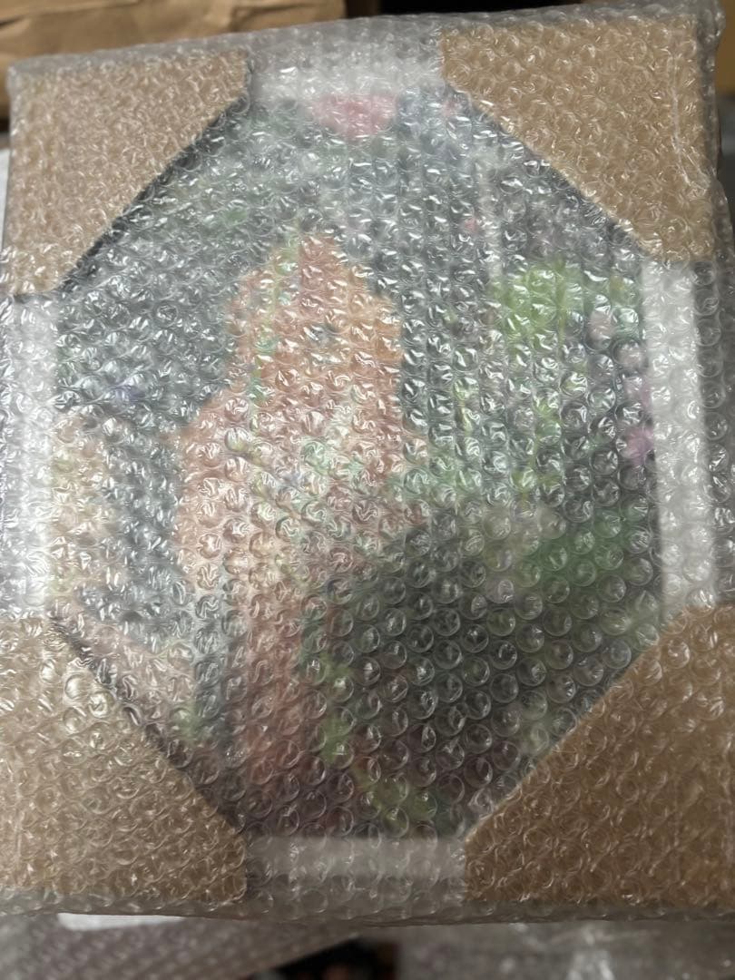 新品未開封画集　Ulala Imai - The Scene 今井麗　本人サイン