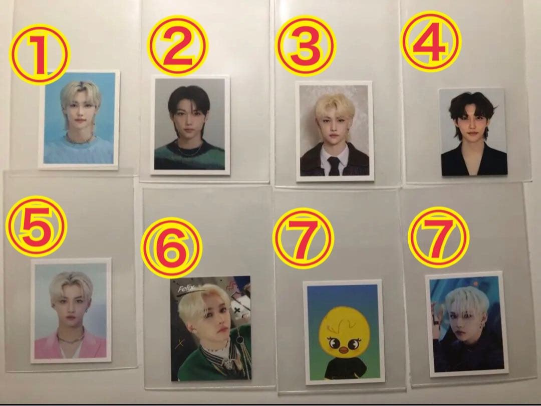 フィリックスくん  セットだとこのお値段