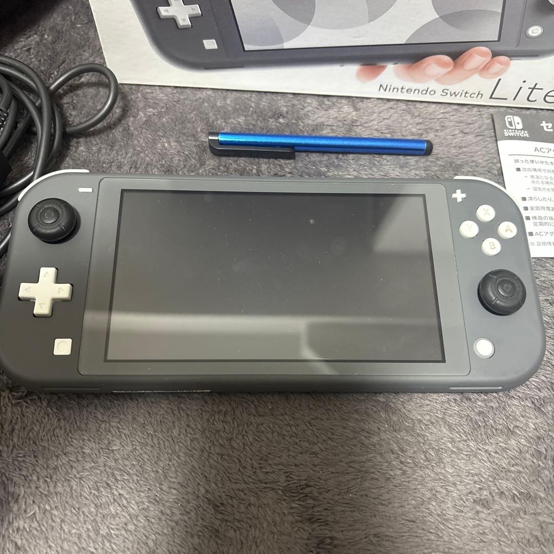 Nintendo Switch Lite グレー 本体＆ケース付き