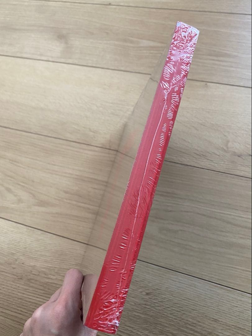 絶版　新品未開封　pierre chapo book 本　ピエールシャポー