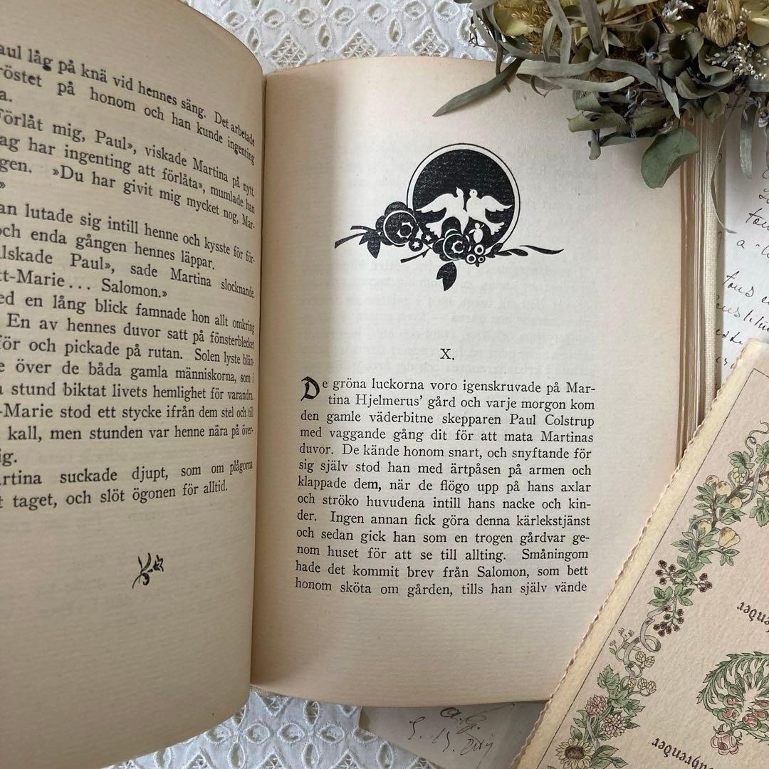 L911洋書古書1923年エイナルネイマンが挿絵を添えた希少なアンティークブック