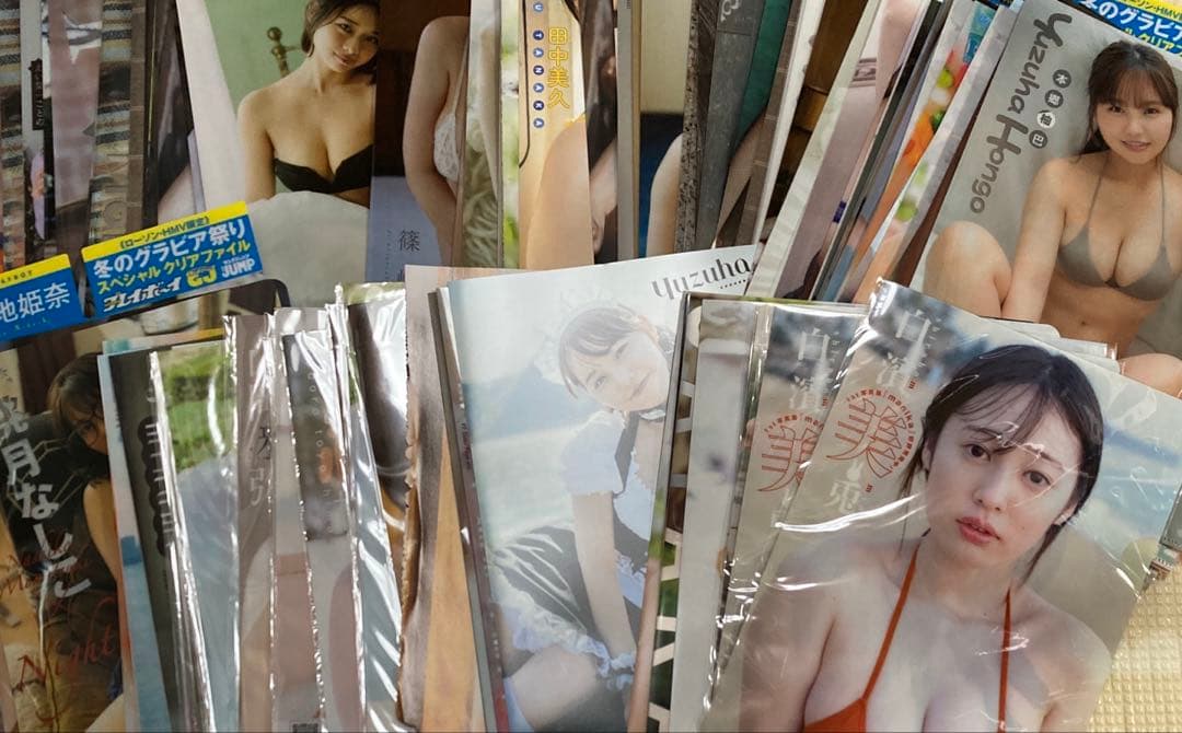 グラビアアイドル　クリアファイル