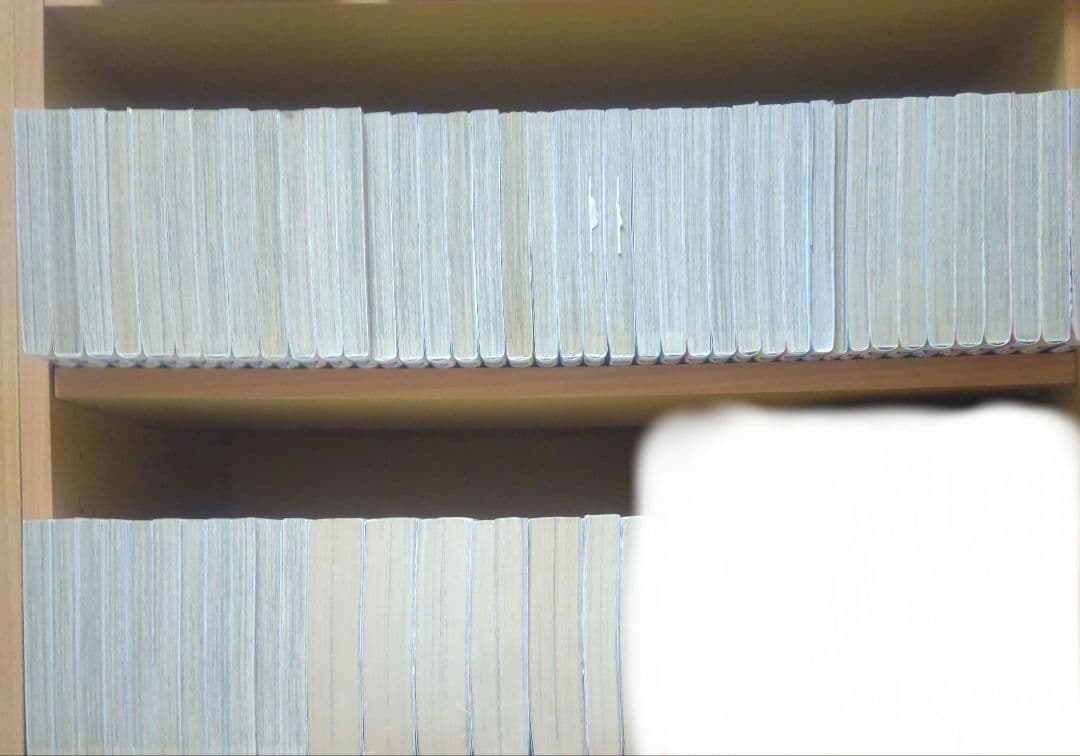 純情ロマンチカ 世界一初恋(kkkkk)