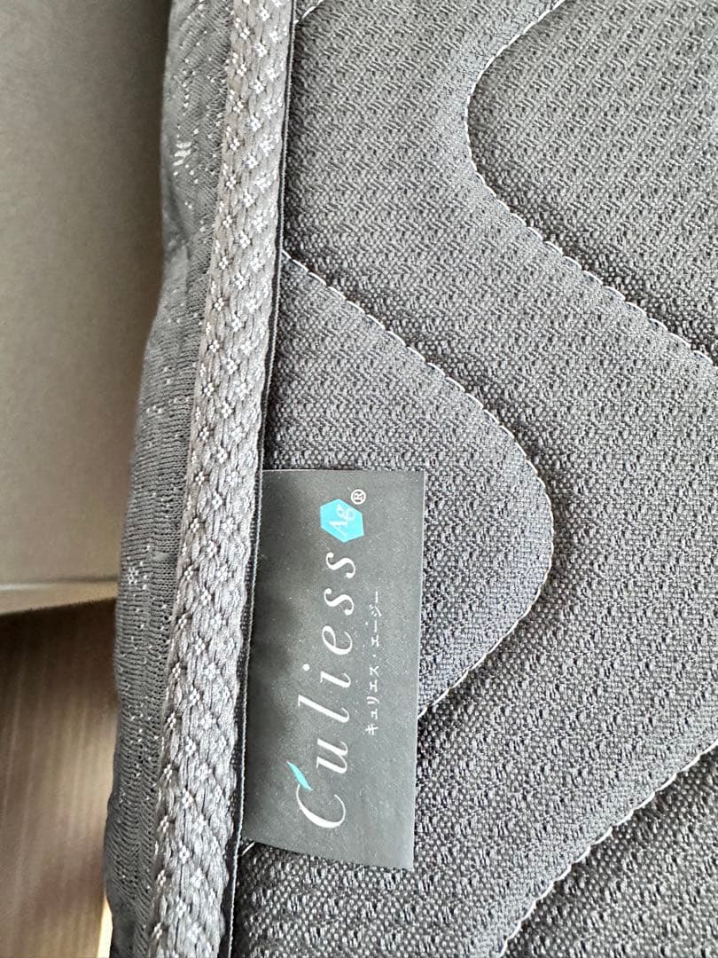 FranceBed LT-700 スプリングマットレス　フランスベッド