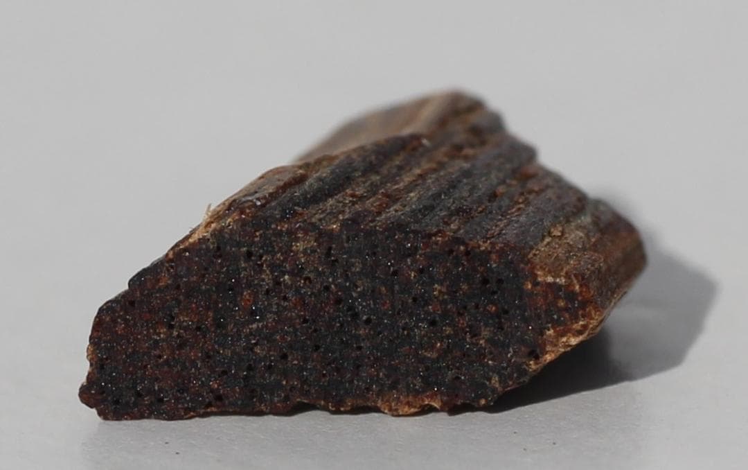 香木 古渡命銘木 「初音」約0.16g 小分け沈香 伽羅 奇南 奇楠 お香 香道