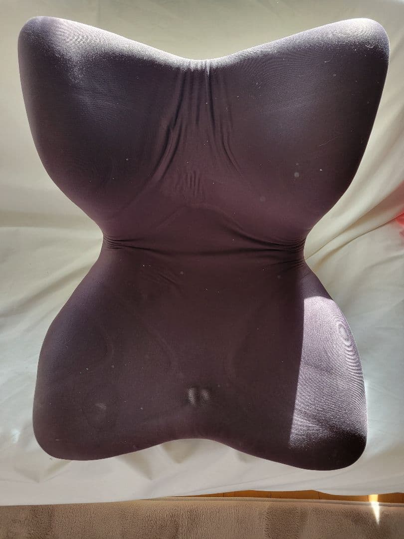 MTG Style PREMIUM 骨盤矯正クッション