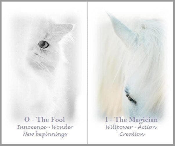 【正規品タロットカード】美麗✨美しい白の世界のタロット✨入手困難海外デッキ