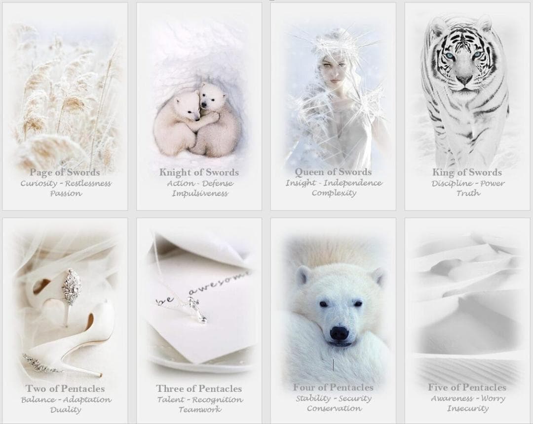 【正規品タロットカード】美麗✨美しい白の世界のタロット✨入手困難海外デッキ