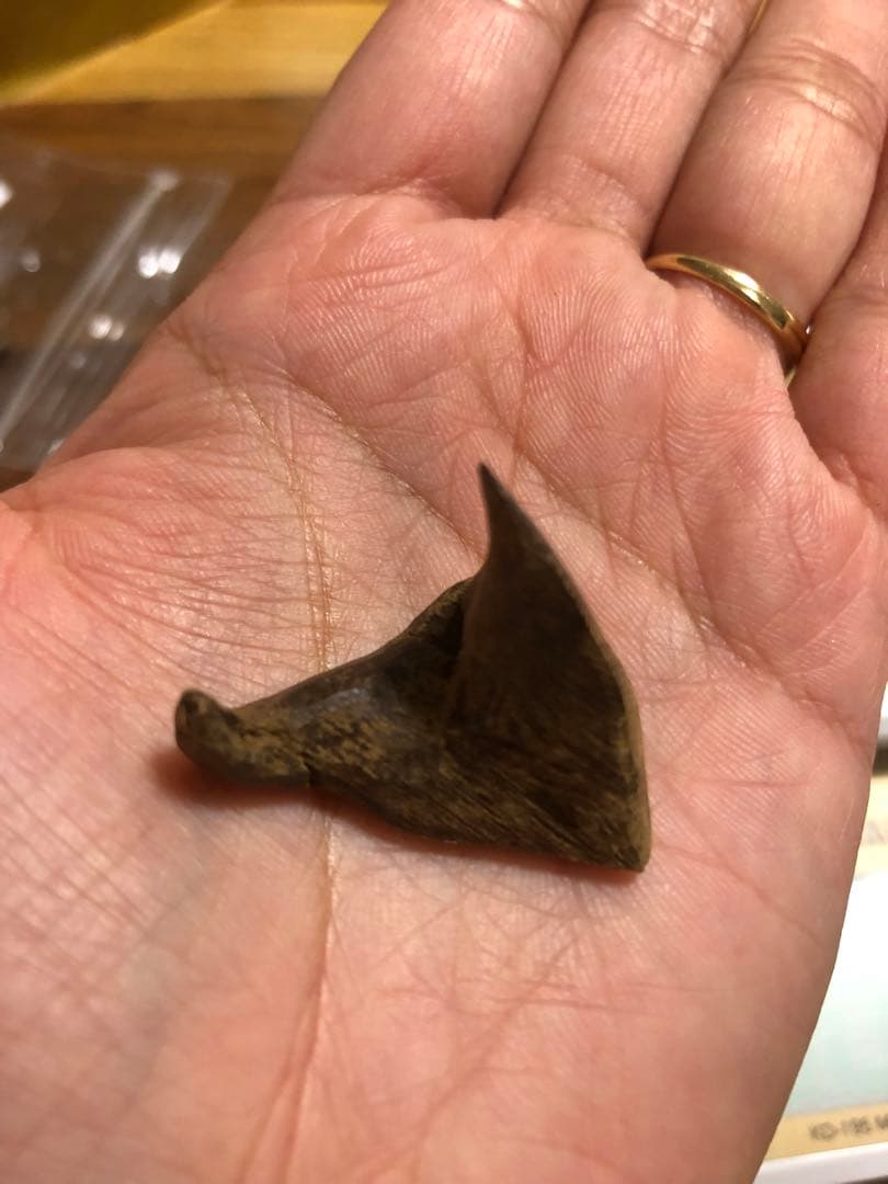 ベトナム産高品質沈香伽羅3g香木