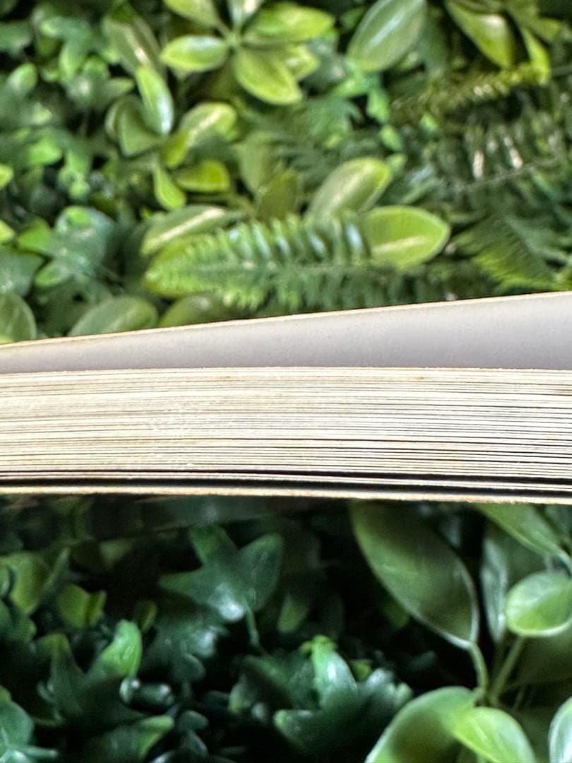 Robben Ford Tiger Walk ギターTAB譜 楽譜 洋書 希少