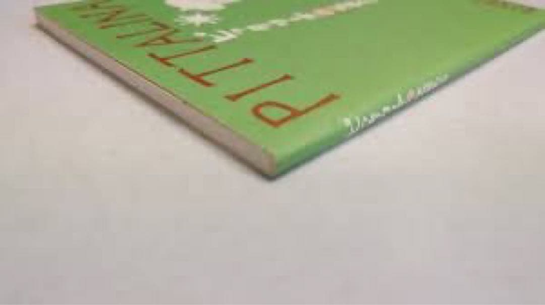 PITTALINA ピッタリーナ 荒井良二　 全国で限定798部発行の超希少本