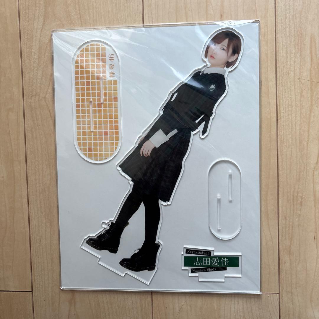 欅坂46 志田愛佳 マネパ会員限定 アクリルスタンド 缶バッジセット