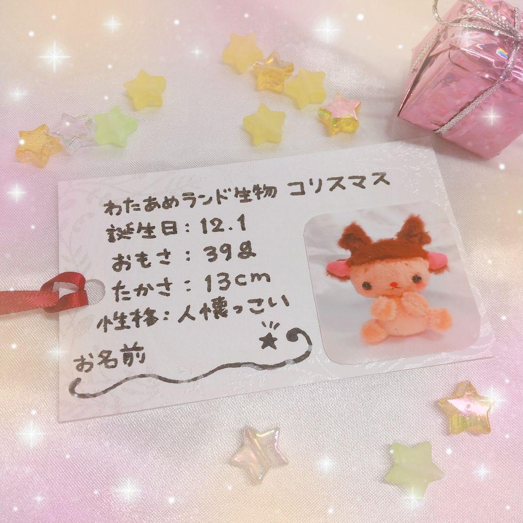 コリスマス 人懐っこい子.*・゜