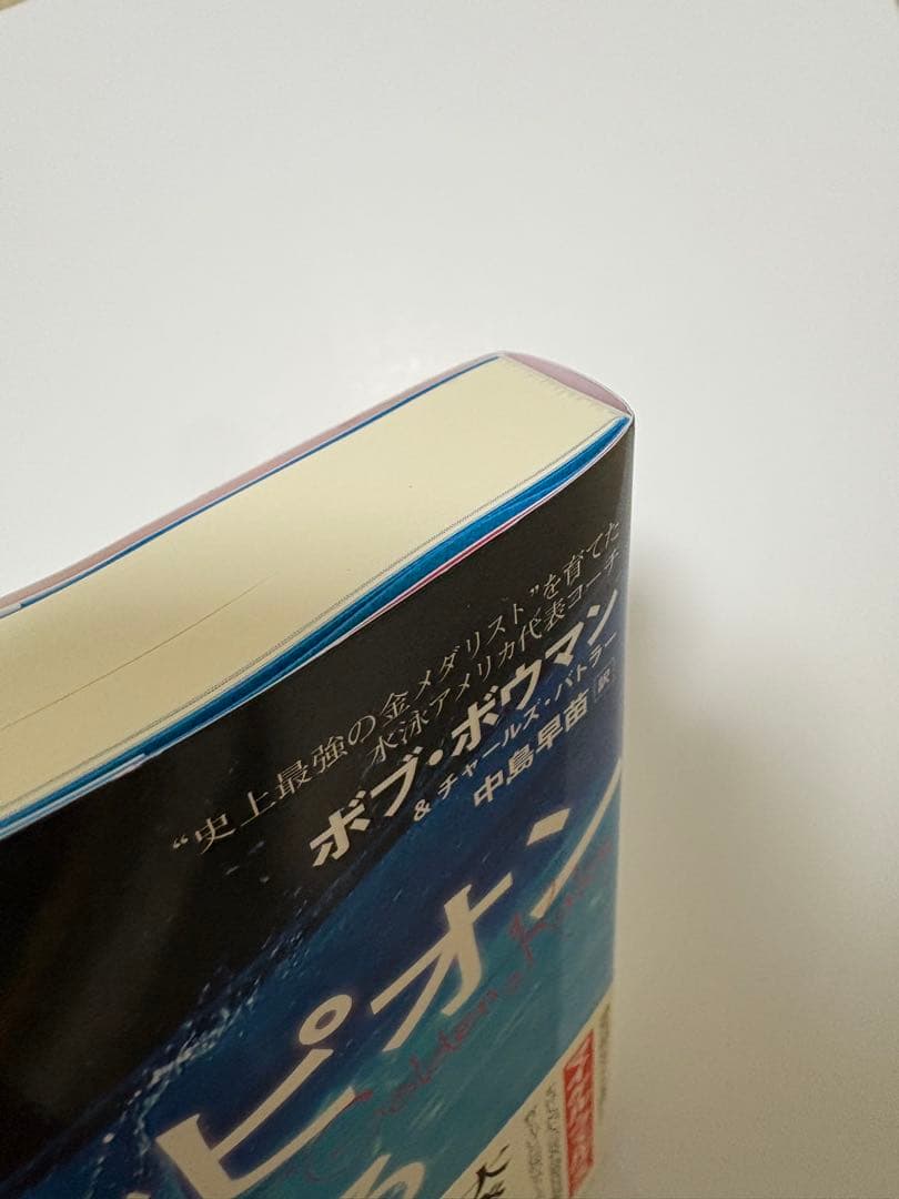 君もチャンピオンになれる The Golden Rules 億万長者のバイブル