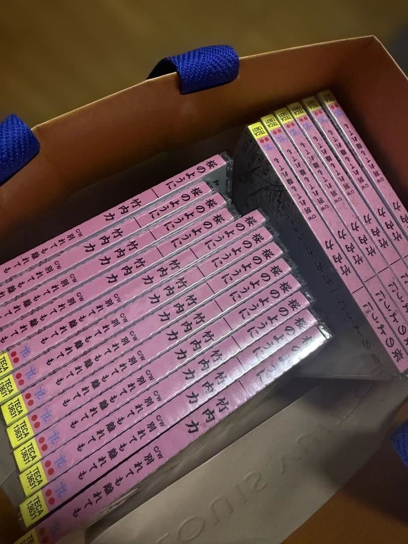 岩内力 桜のように 18枚セット